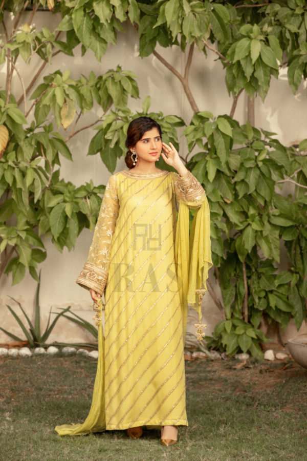 Gold Lime - Image 6