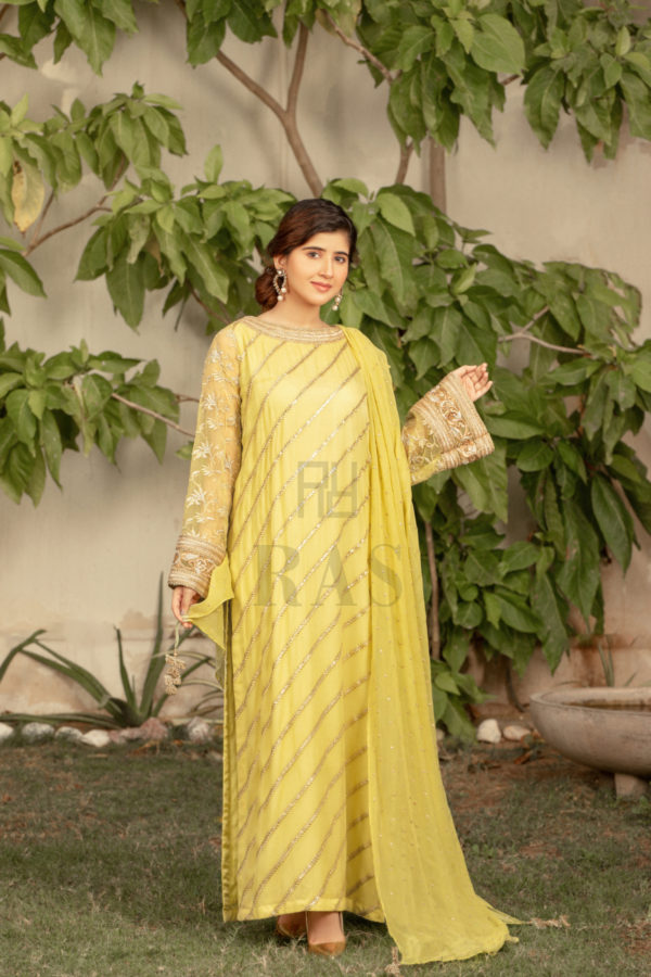 Gold Lime - Image 5