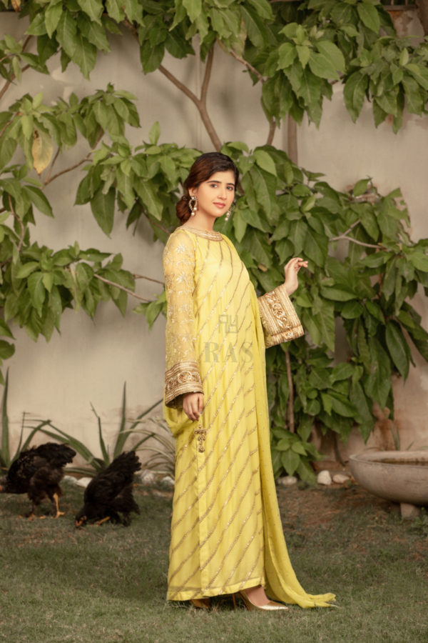 Gold Lime - Image 4