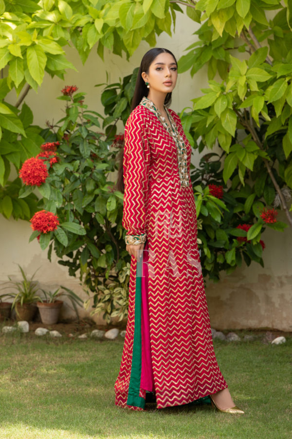 Fuchsia - Image 5