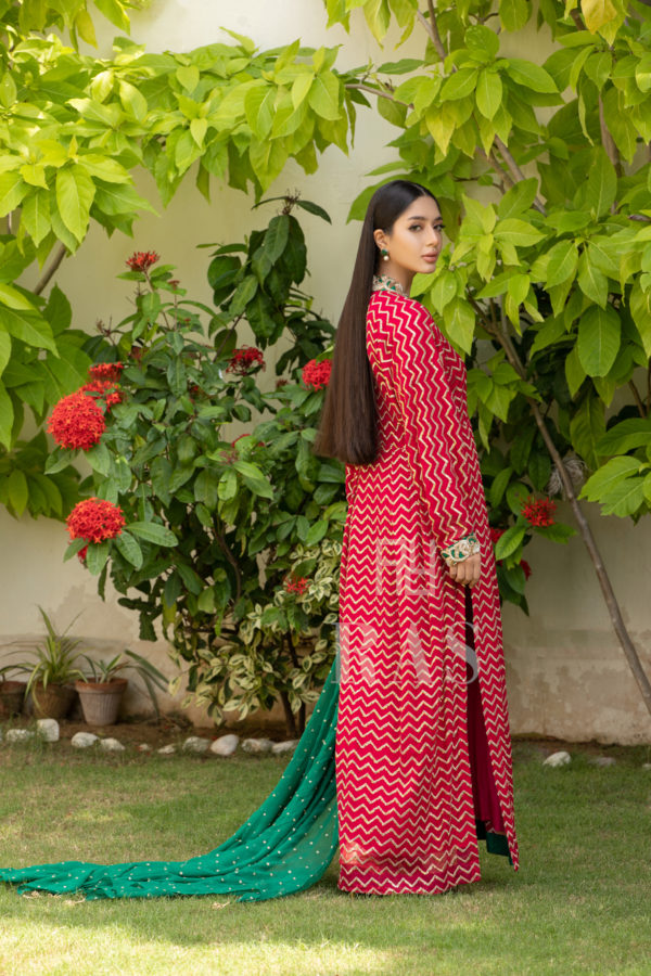 Fuchsia - Image 3