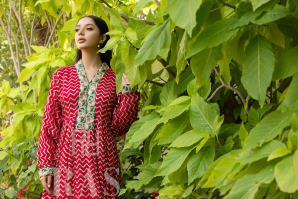 Fuchsia - Image 2