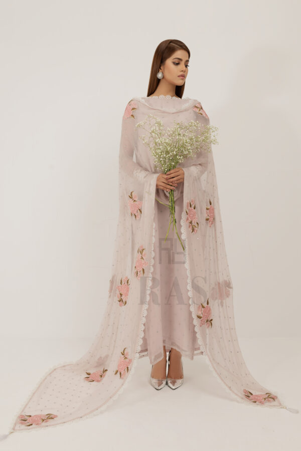 Cherry Blossom