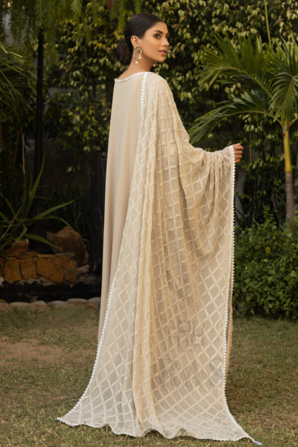 Dove - Image 2