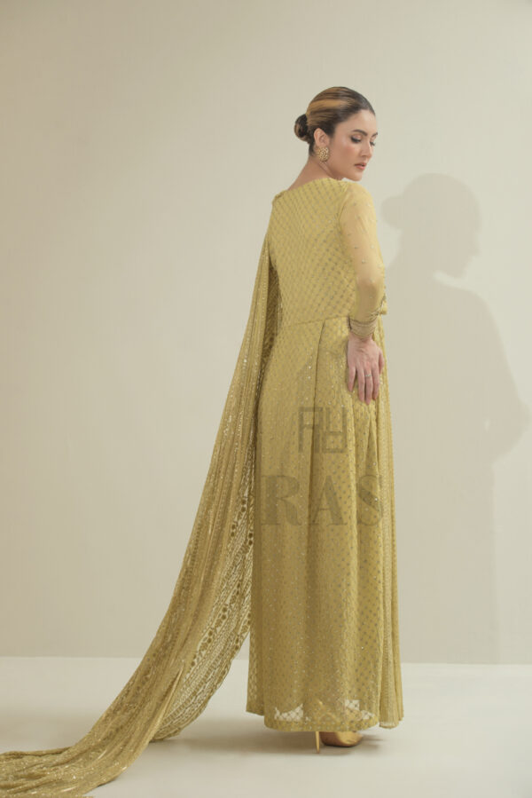 Canary - Image 6