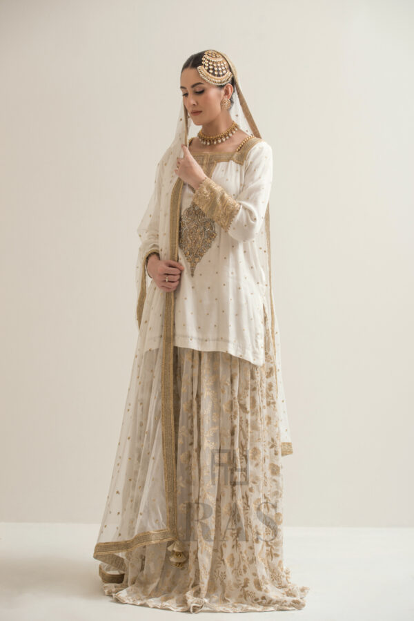 Gul Noor - Image 8