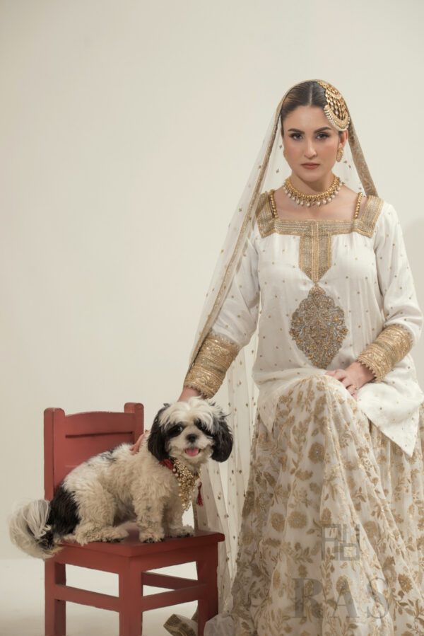 Gul Noor - Image 4