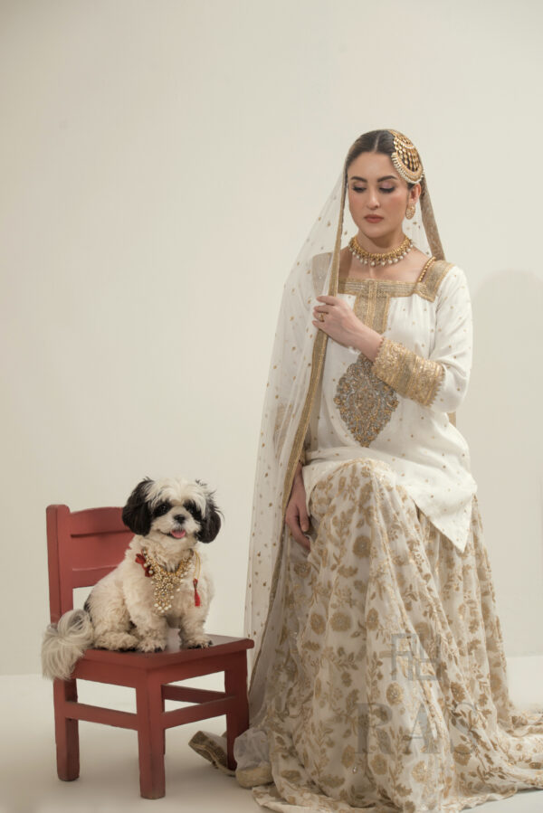 Gul Noor - Image 3