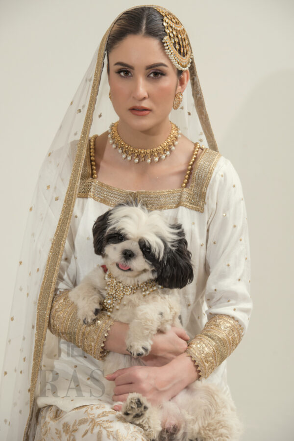 Gul Noor - Image 2
